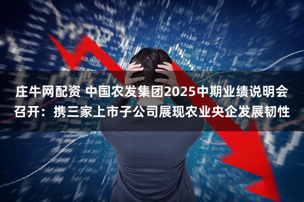 庄牛网配资 中国农发集团2025中期业绩说明会召开：携三家上市子公司展现农业央企发展韧性